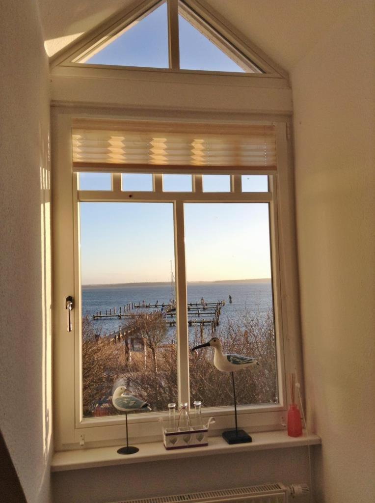 Fewo 27 Strandnahe Ferienwohnung Marlyn Rerik Extérieur photo