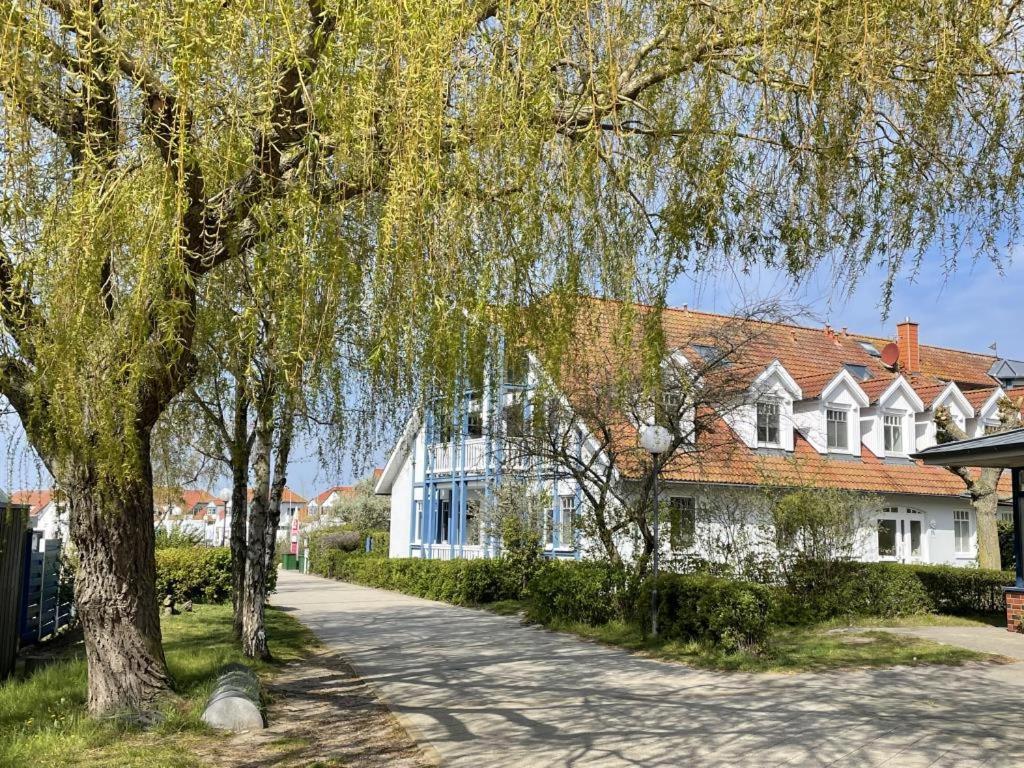 Fewo 27 Strandnahe Ferienwohnung Marlyn Rerik Extérieur photo