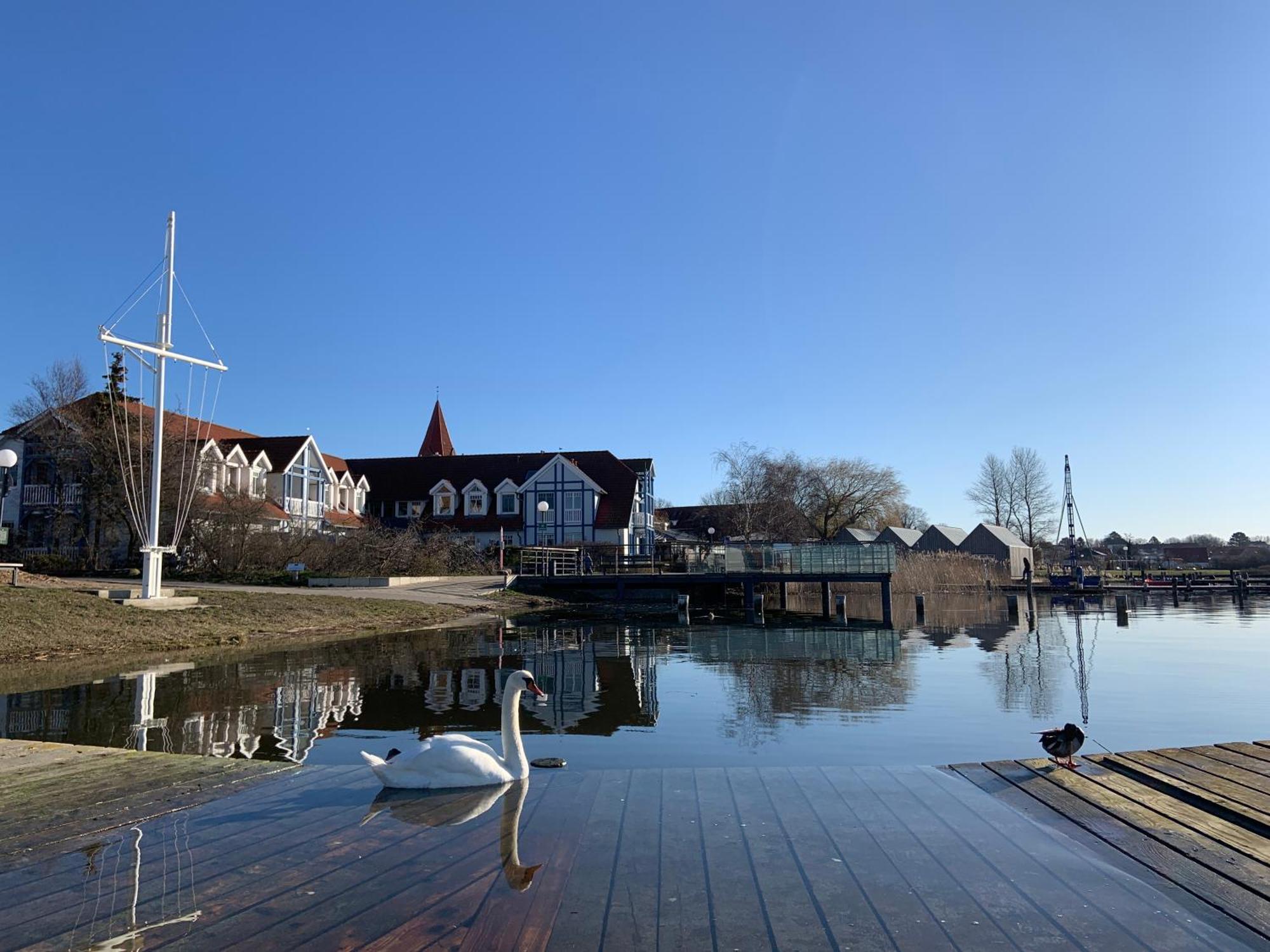 Fewo 27 Strandnahe Ferienwohnung Marlyn Rerik Extérieur photo